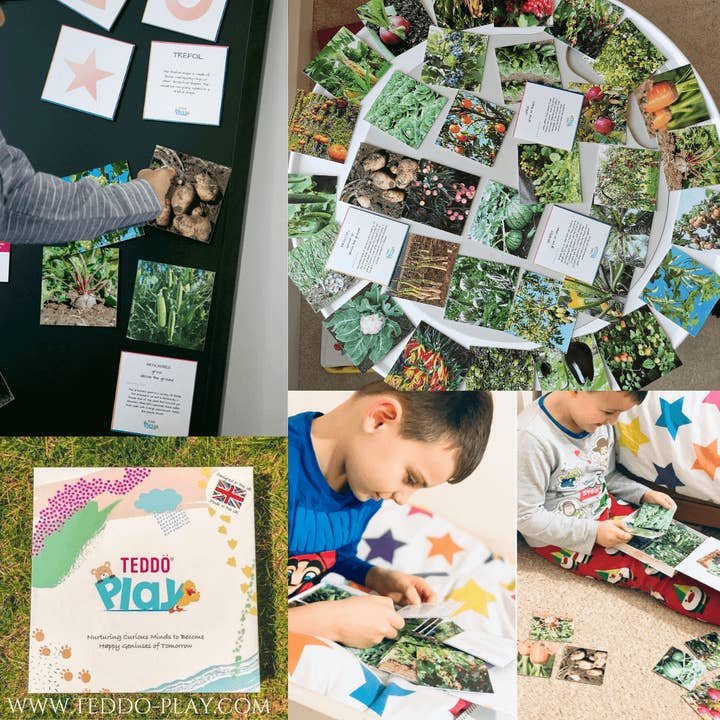 Teddo Play – Großhandel Lernkarten – Kind & Baby – Multi-Bundle mit 13 Lernsets Lernspiele für Kinder26