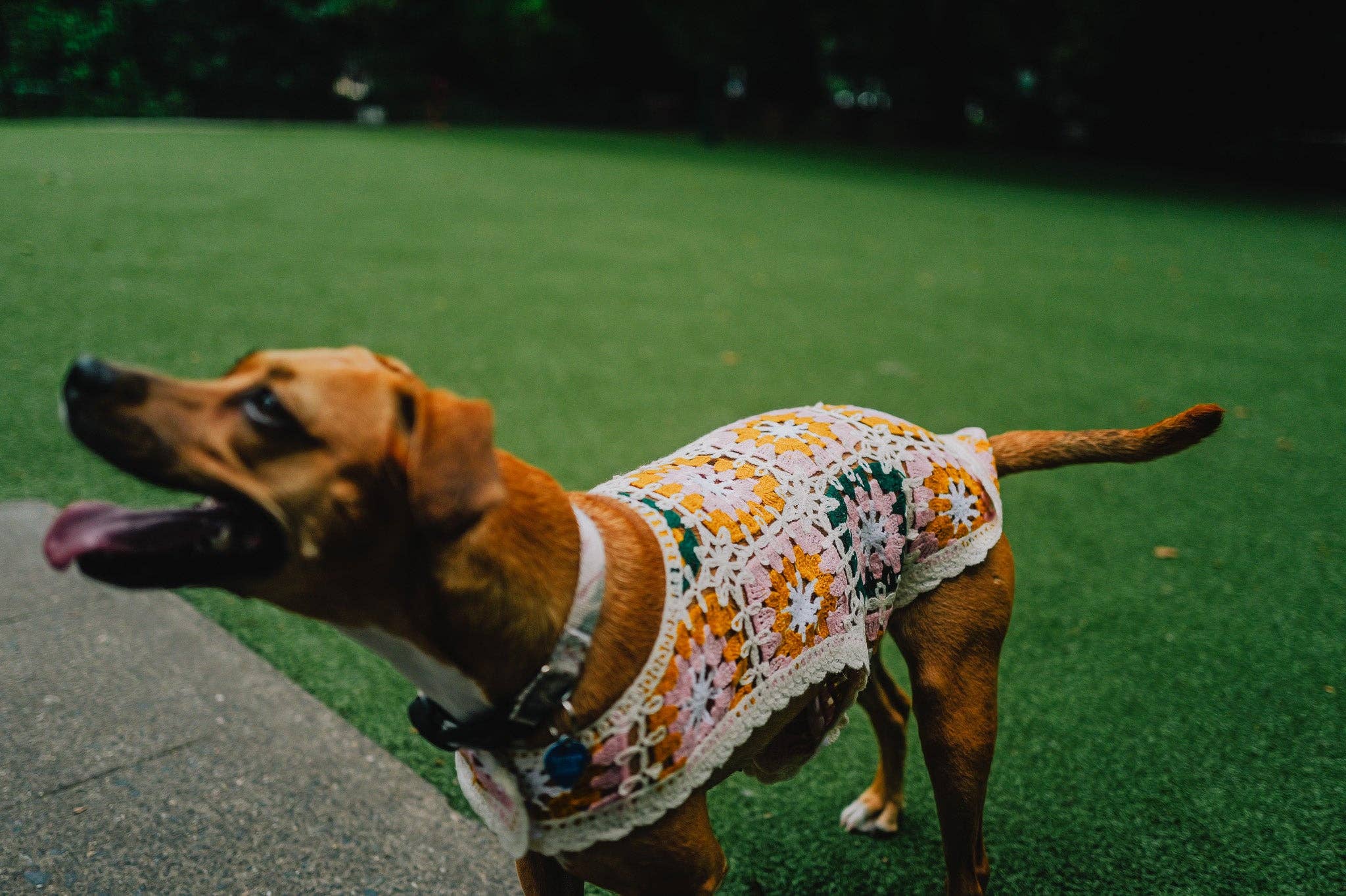 Both Tails - Wholesale Pet Shirt - Dog - Bubblegum Crochet Dog Top7