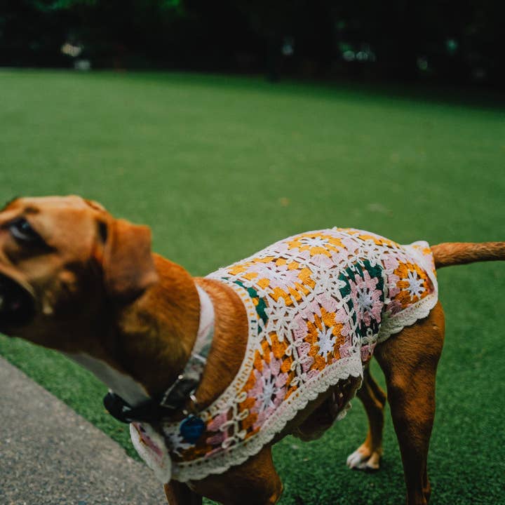 Both Tails - Wholesale Pet Shirt - Dog - Bubblegum Crochet Dog Top7