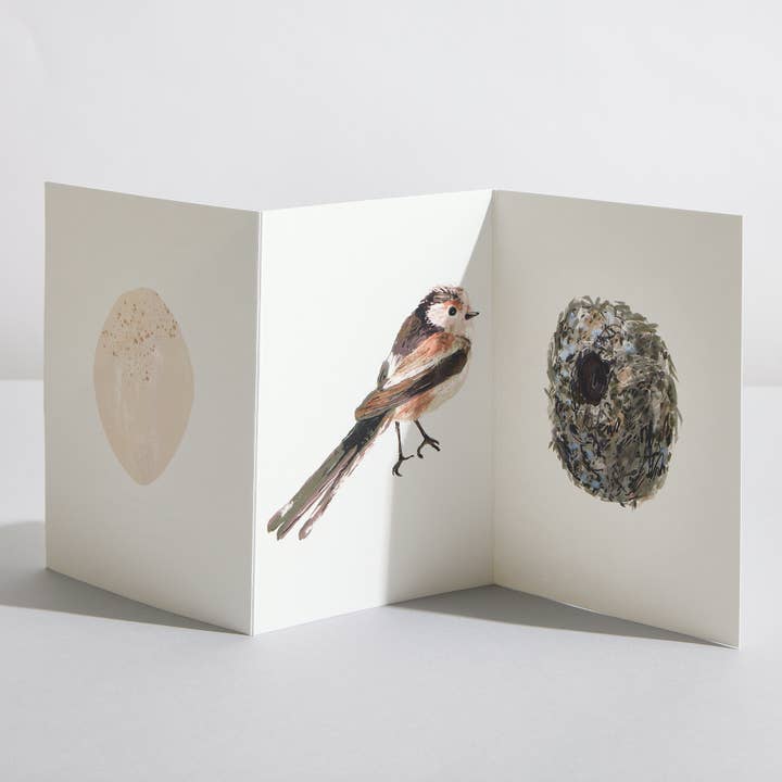 Cartão Concerto de Beija-flor de Cauda Longa para Amantes da Natureza por atacado de Sara Sayer