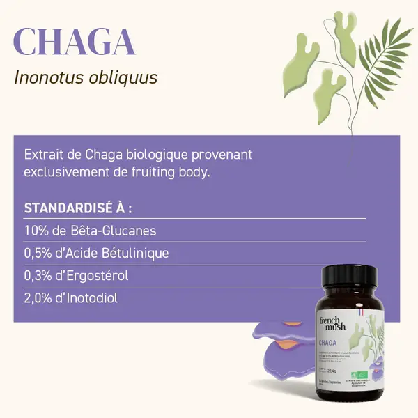 FRENCH MUSH - Venta al por mayor Suplementos/vitaminas para beber - Suplemento dietético de extracto de Chaga - FRENCH MUSH4