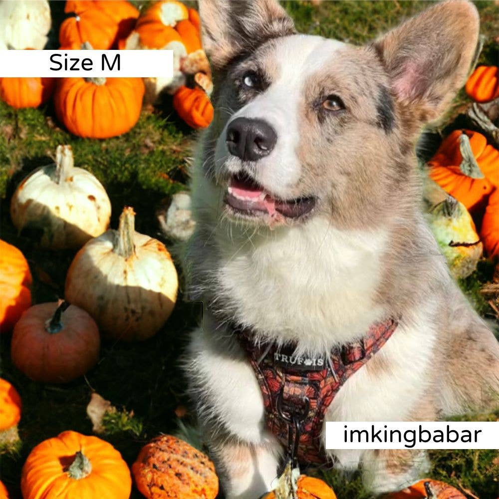 Trufois - Vente Harnais – chien - Harnais Sisu - Chute et Vol13