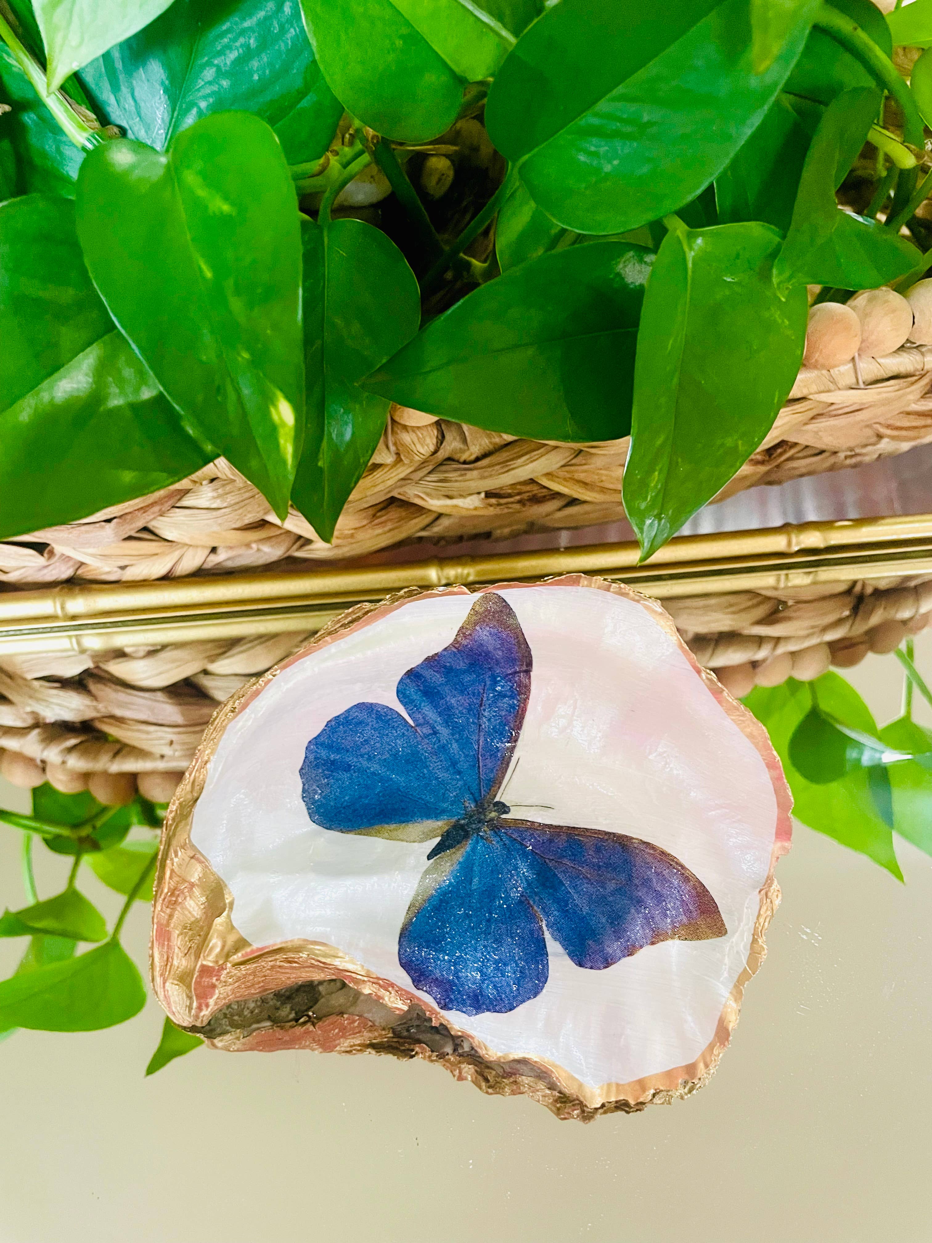 Shells by Shea - Wholesale Jewelry Dish - Oyster Shell Trinket Dish, Butterfly Trinket Dish1