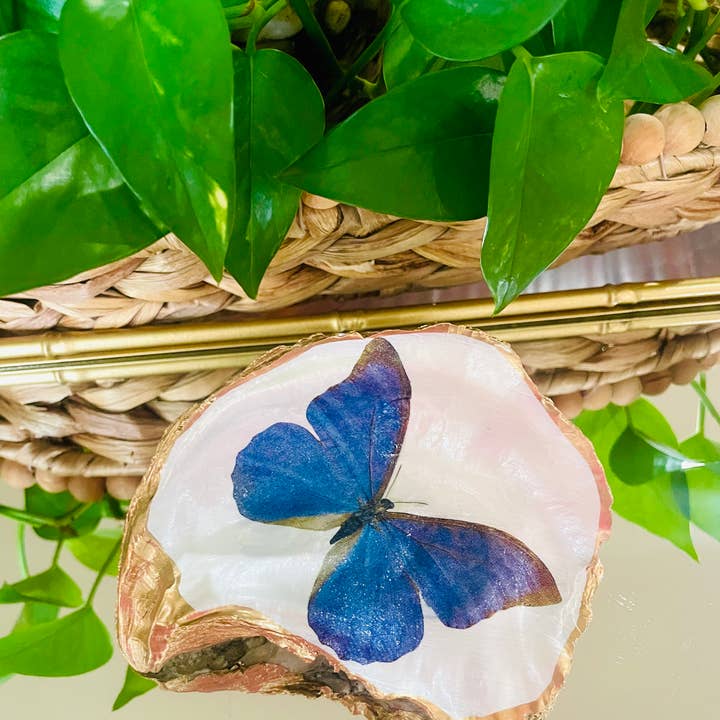 Shells by Shea - Wholesale Jewelry Dish - Oyster Shell Trinket Dish, Butterfly Trinket Dish1