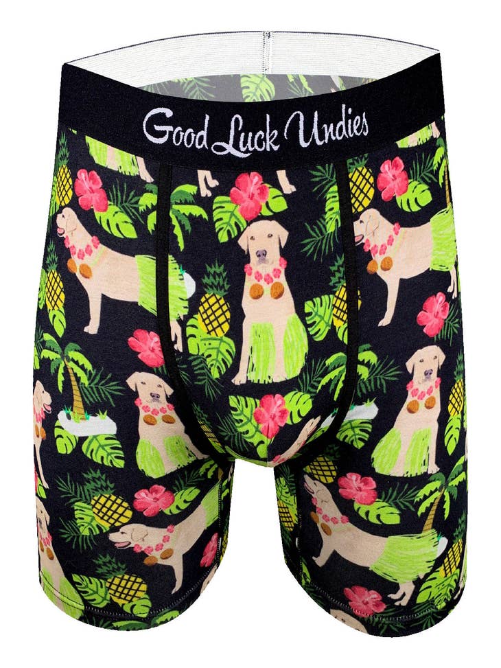 Men's Pickle Boxer Brief Underwear by Good Luck Undies - The
