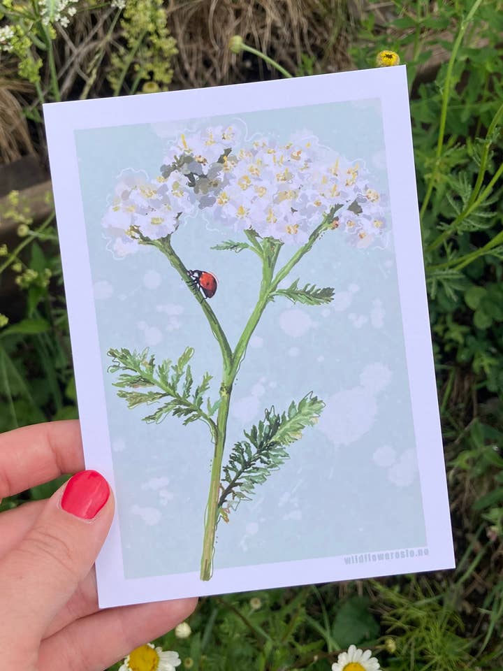 Postcard A6 # 0093 for wholesale by Wildflower Oslo