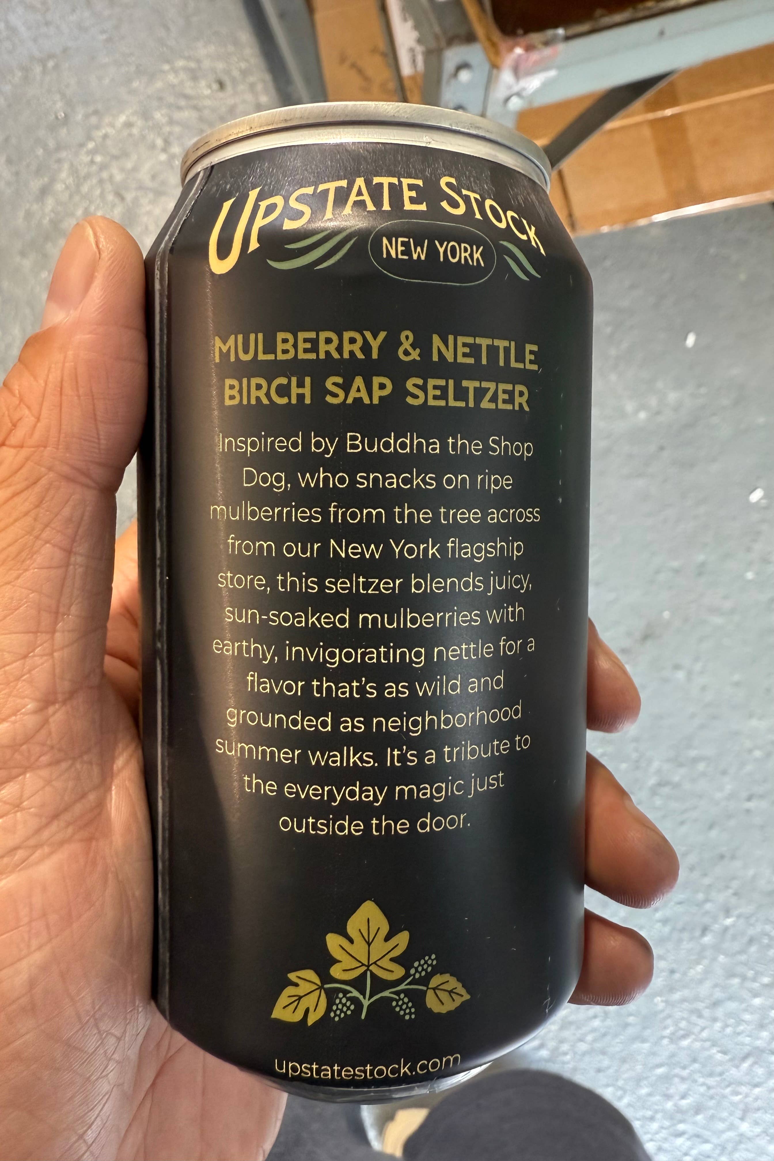 Upstate Stock Seltzers - Vendita all'ingrosso Bibite/bevande gassate - SELTZ ALLA LINFA DI BETULLA, GELSO E ORTICA - Confezione da 124