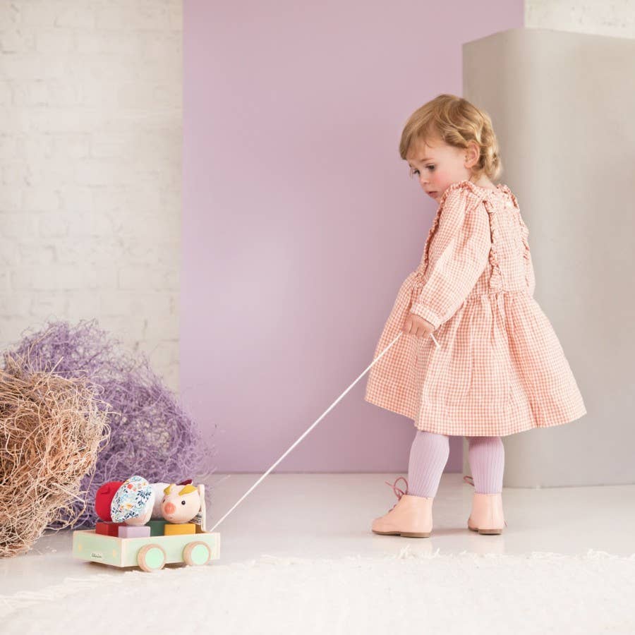 Juratoys - Wholesale Toy Car/Truck - Kids - Louis Pull Along Car & Shape Sorter1