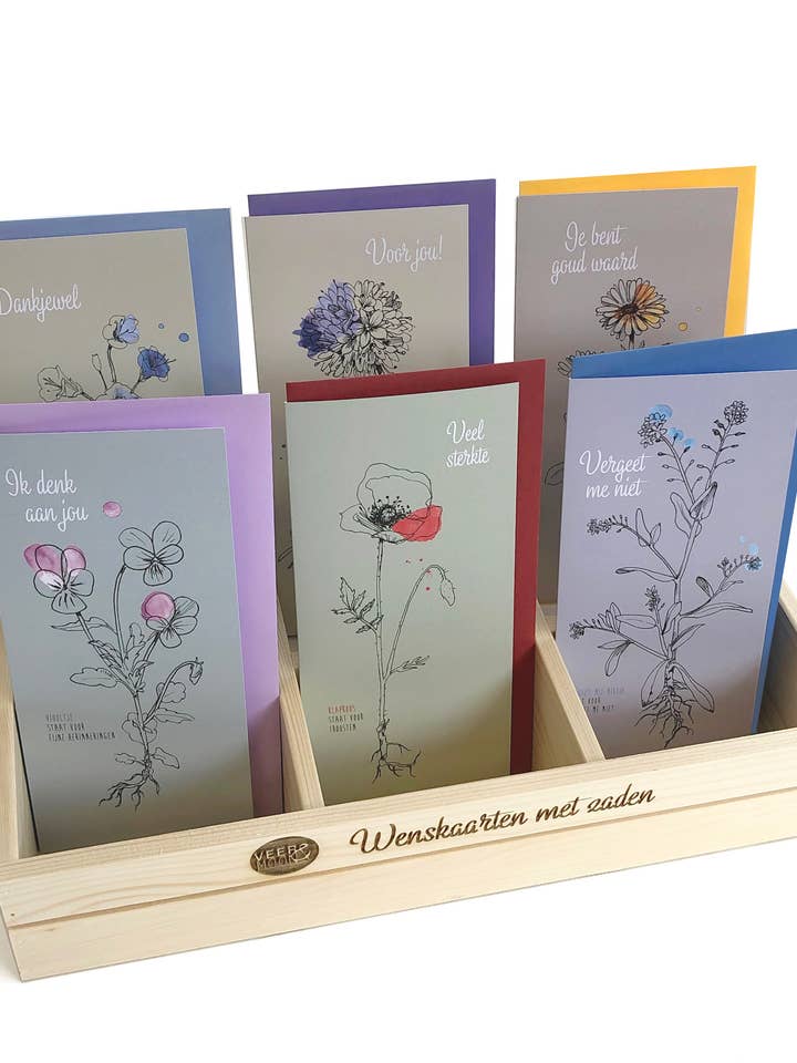 Série de cartões de felicitações com expositor - Conforto por atacado de Veer&Moon