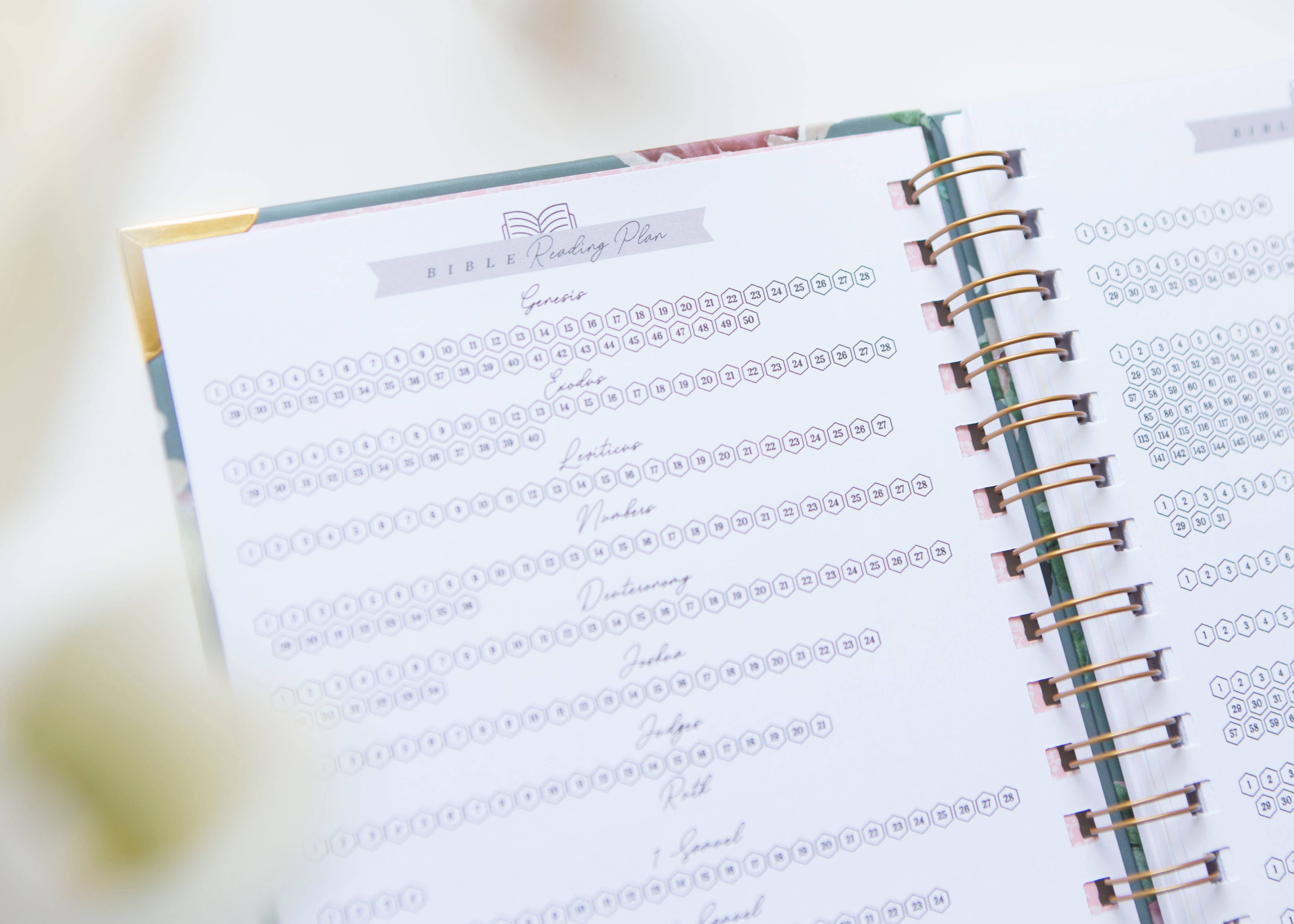 Chosen & Cherished - Wholesale Journal/Diary - Bible Study Journal | Verse Mapping Journal11