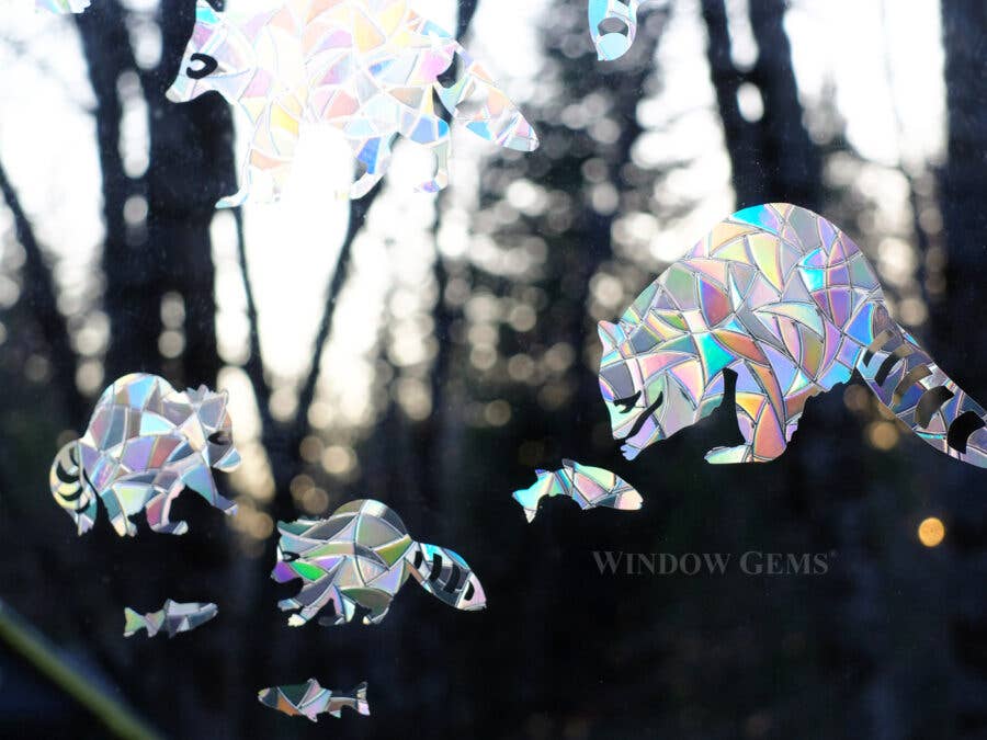 Window Gems – wholesale Suncatcher – Raccoon Window Clings - Bird Strike Prevention Suncatchers3
