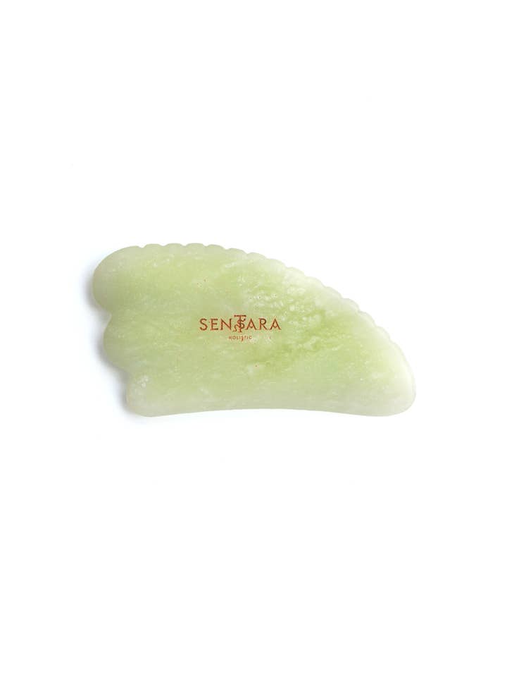Gua Sha Green Jade Tooth Horn - Massage Tools for wholesale by Sentara Holistic