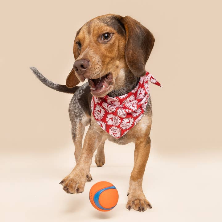 The Paws - Wholesale Pet bandana – Dog - Reindeer Patrol Christmas Dog Bandana2