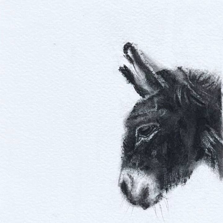 Little Donkey for wholesale by Emer McCourt Animal Art