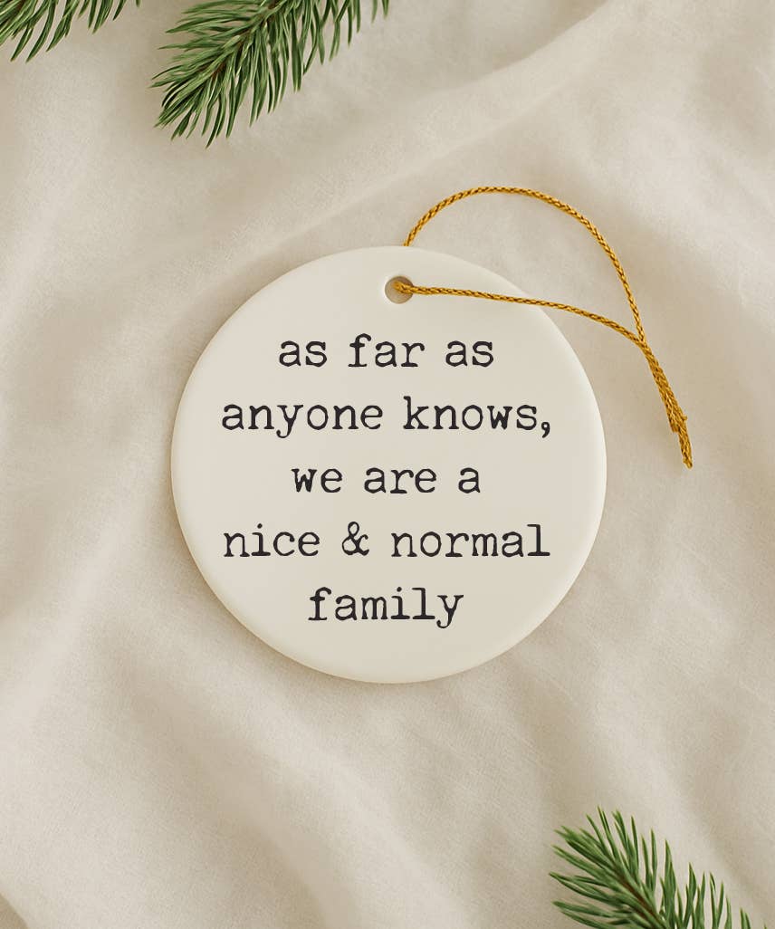 521handmade - Wholesale Ornament - Funny "Nice Normal Family" Christmas Ornament2