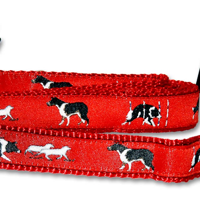Dog Collar, Border Collie for wholesale by Colorful Collars