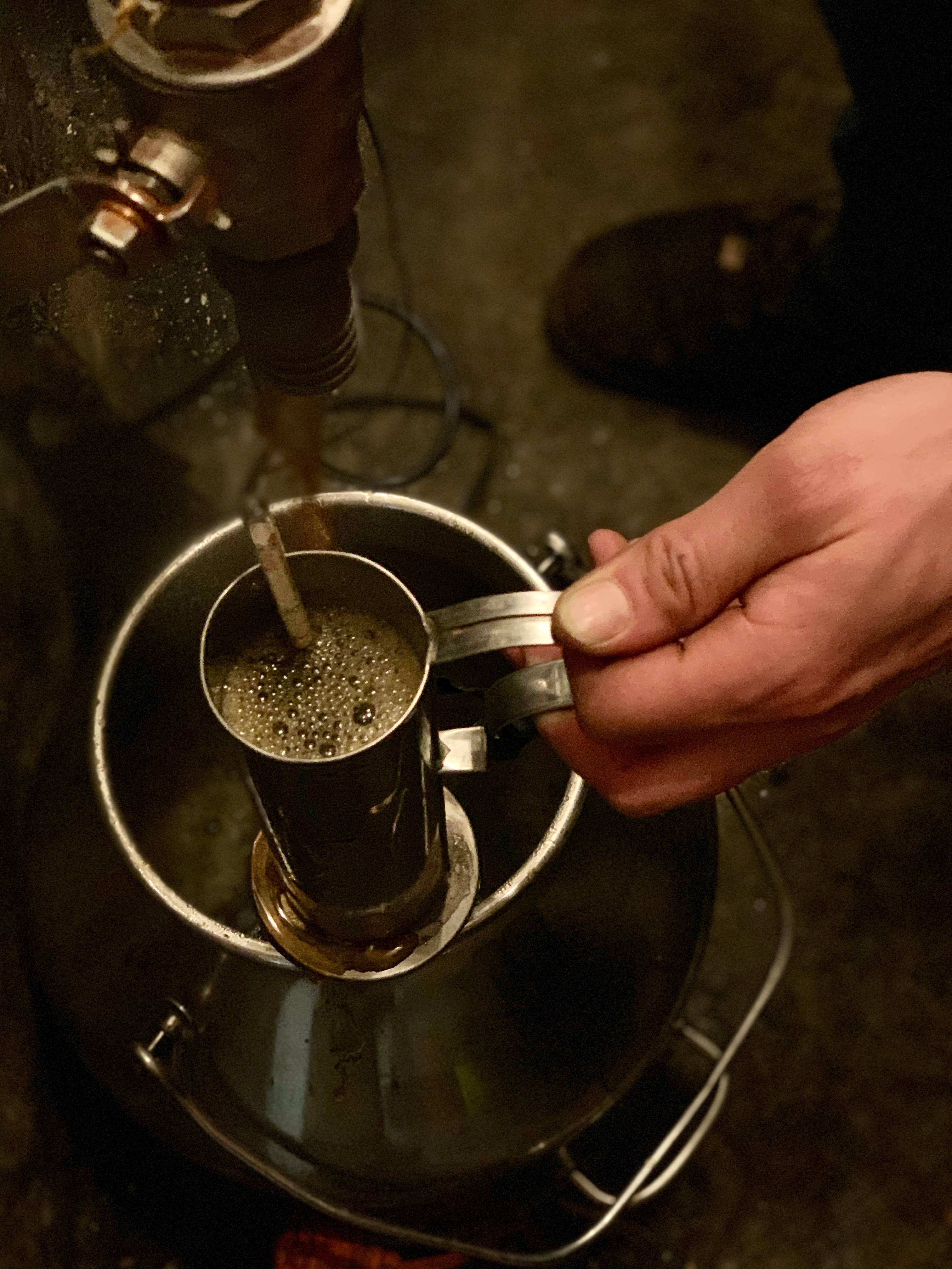 Tree Juice Maple Syrup - Wholesale Maple Syrup - 12oz Pure Tree Juice Maple Syrup4