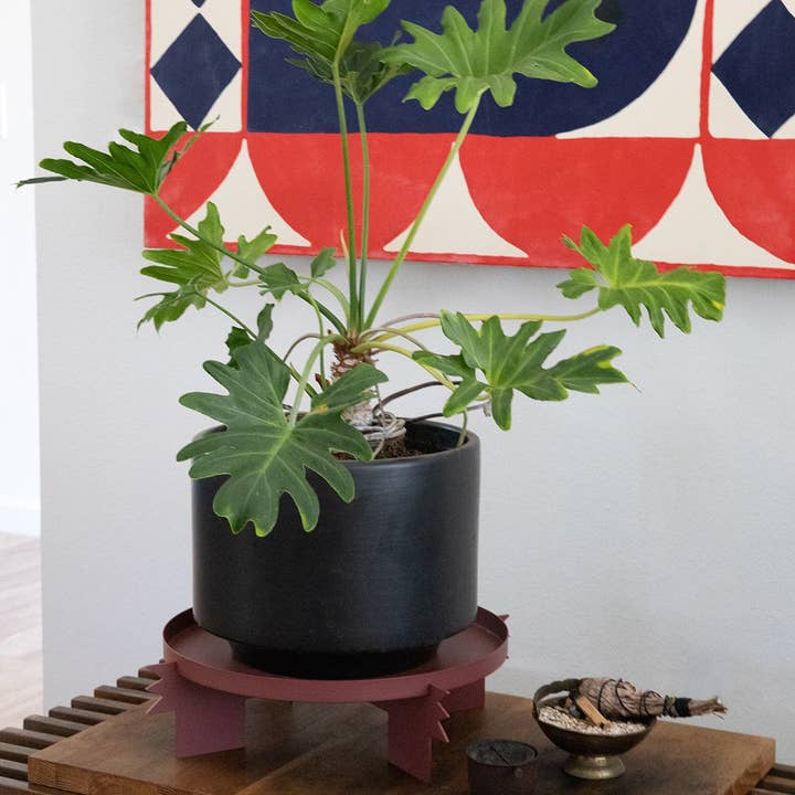 Upton - Wholesale Plant Pot Stand - REED - Rose | Plant Stand3