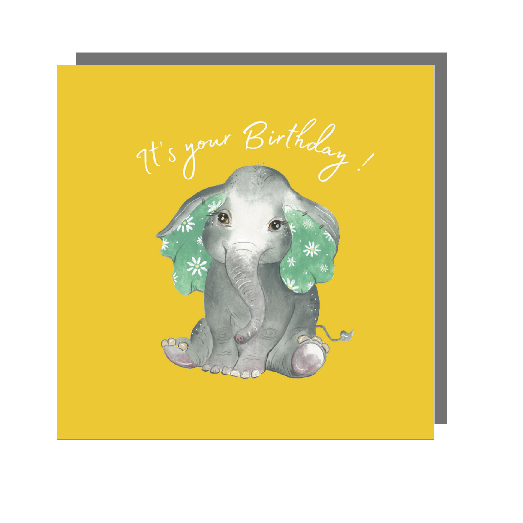 Love Country – wholesale Birthday card – Children's Birthday Cards Bundle - BUMPKIN Collection11