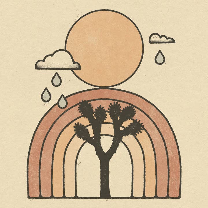 Amber Morgan - Wholesale Art Print - Rainbow Over Joshua Tree 8x10 Art Print  0