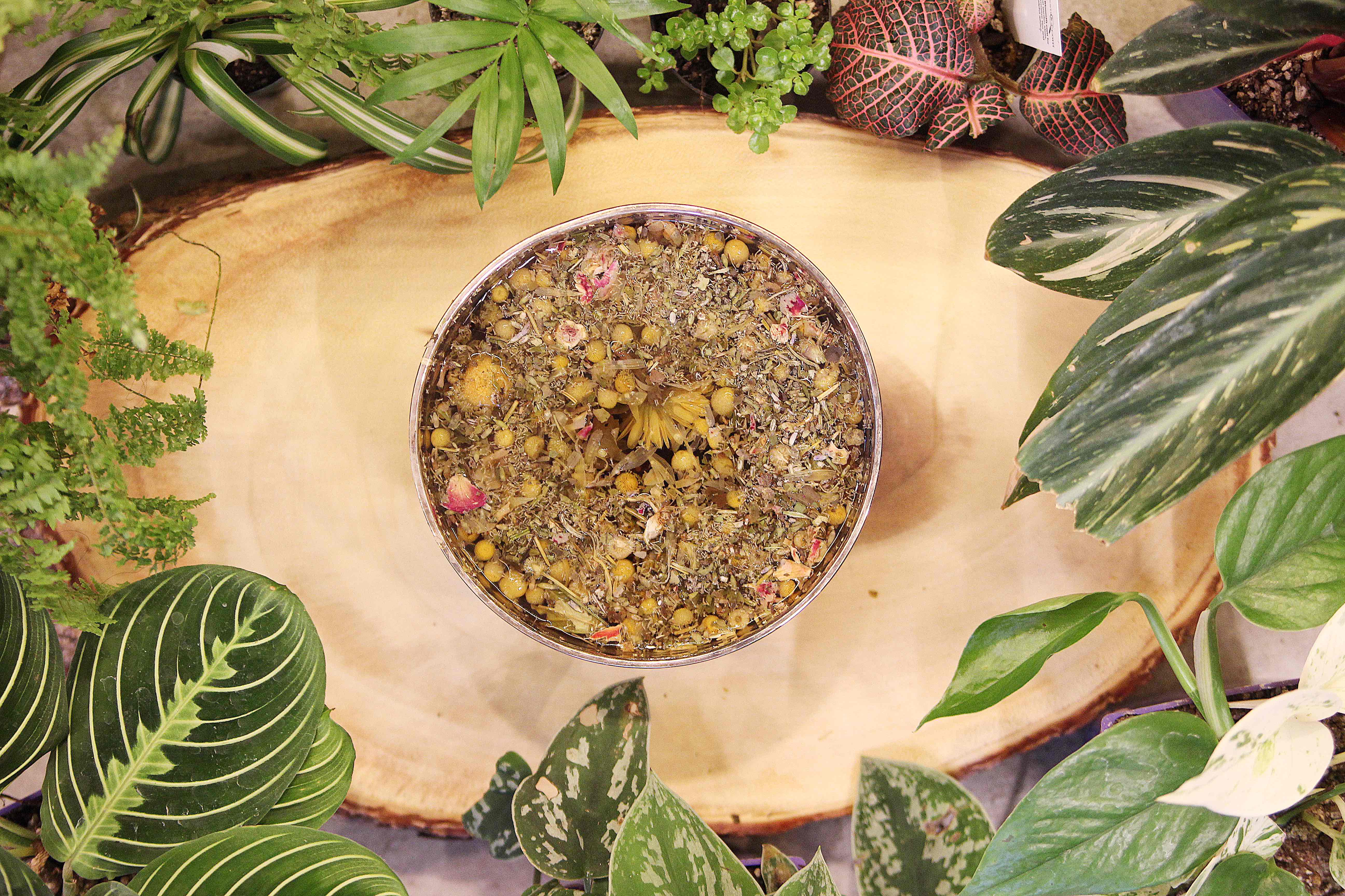 Seattle Seed Co. - Vente Bains de vapeur pour le visage - Mélange visage à base de plantes vapeur3