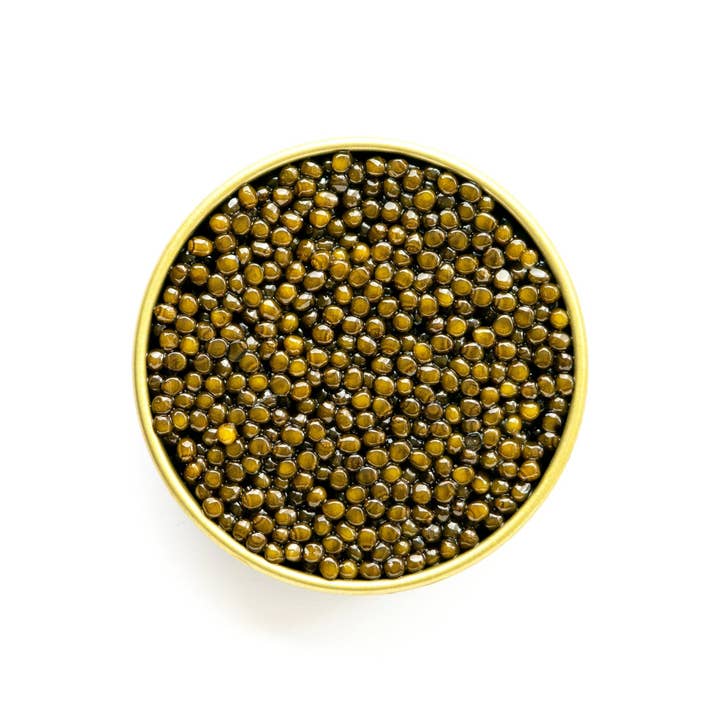The Caviar Co. - Wholesale Fish/Seafood - Imperial Golden Osetra Caviar1
