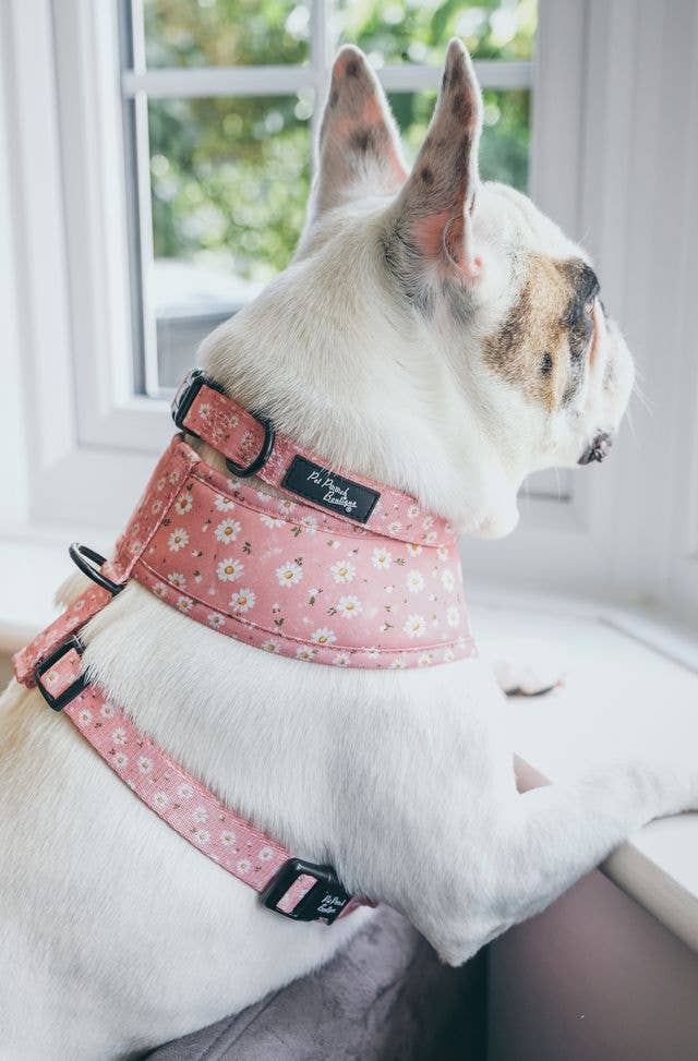 Pet Pooch Boutique - Wholesale Pet harness – Dog - Dusky Pink Daisies Floral Puppy Dog Harness4