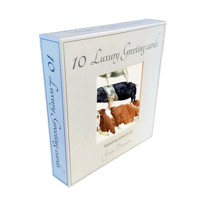 Set di biglietti di auguri da fattoria (10 biglietti con buste) per la vendita all'ingrosso da parte di Field and Fur Gifts