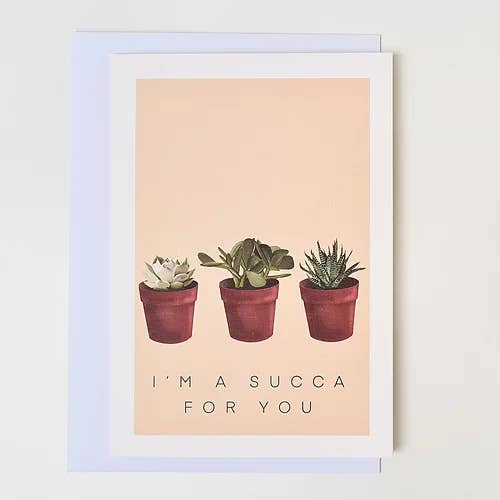 Succa til dig for engroshandel hos Visual Happiness