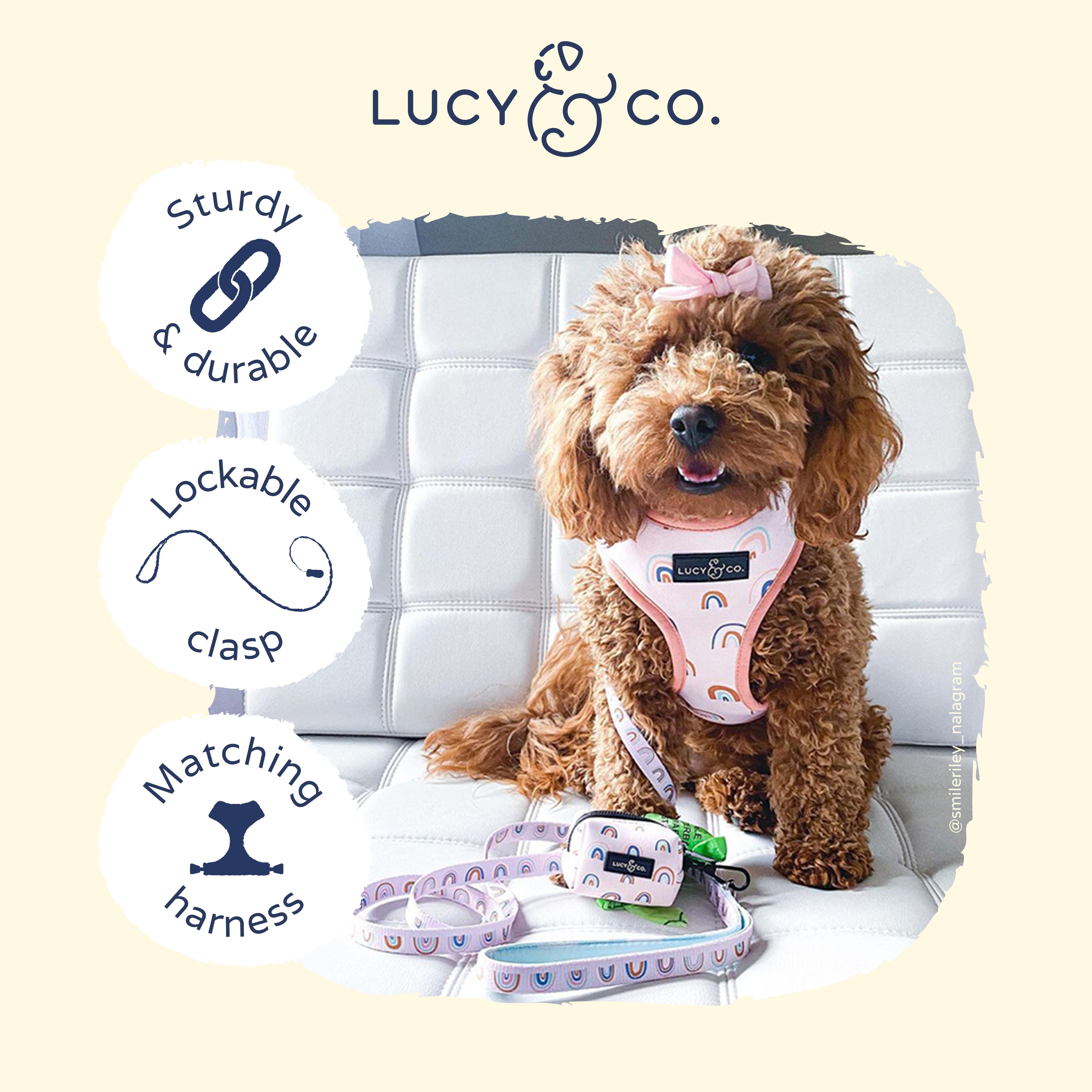 Lucy & Co. - Wholesale Pet Leash - Dog - In the Clouds Leash2