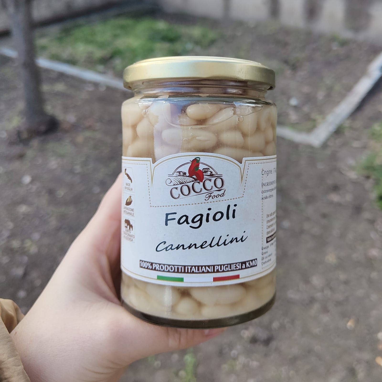 Cocco Food – wholesale Bönor – Vita cannellinibönor i glasburk 280 g – Tillverkade i Italien1