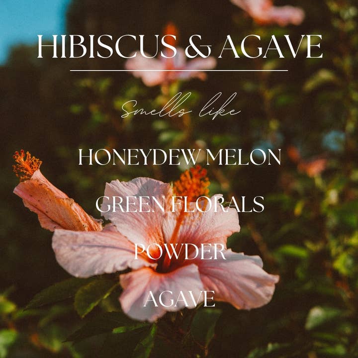 Modern Roots Candle Co. - Wholesale Smeltwax - Hibiscus & Agave | 68 g Sojawas Smeltblokjes1