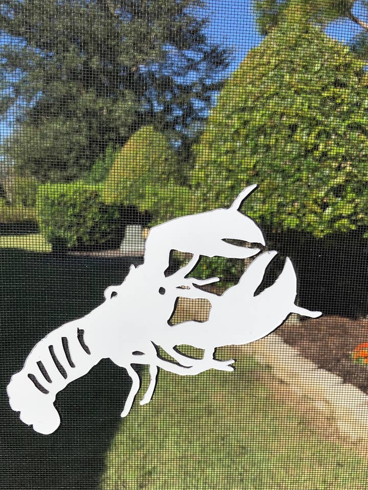 Aimant d'écran flexible DCentral Lobster - Taille 7,6 « x 4" pour la vente par DCentral Magnetics