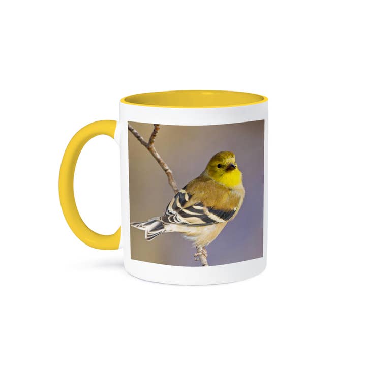3dRose - Wholesale Coffee Mug - 3dRose, Colorado, Frisco, American goldfinch bird - US06 BJA0077 - Jaynes Gallery, Mug