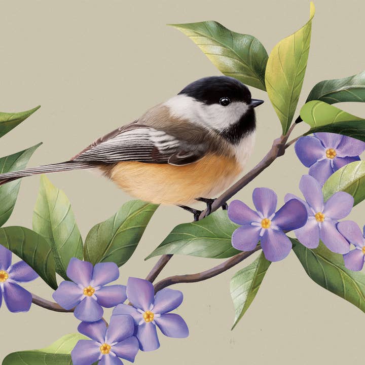 "Chickadee" Square House Coaster - Bulk for wholesale by Gift & Garden by Carson