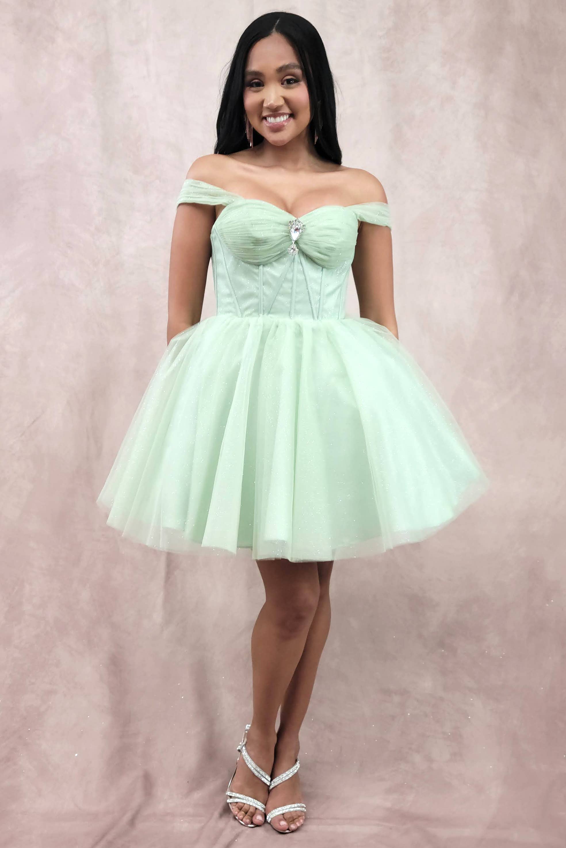 Chicas - Wholesale Dress - Women's - Short Off The Shoulder Tulle Dress With Brooch34
