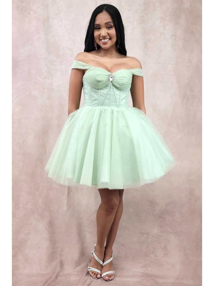 Chicas - Wholesale Dress - Women's - Short Off The Shoulder Tulle Dress With Brooch34