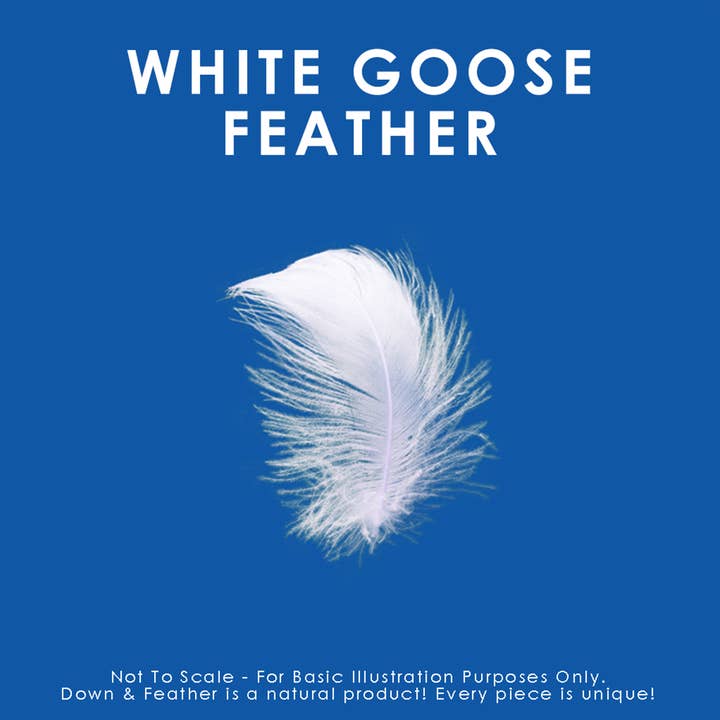 Canadian Down & Feather Company - Wholesale Bedding Pillow - Quilted White Goose Feather Pillow