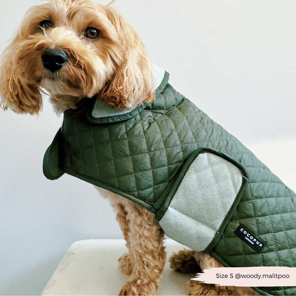 Cocopup London - Wholesale Pet Coat - Dog - LUXE Quilted Dog Coat - Country Khaki14