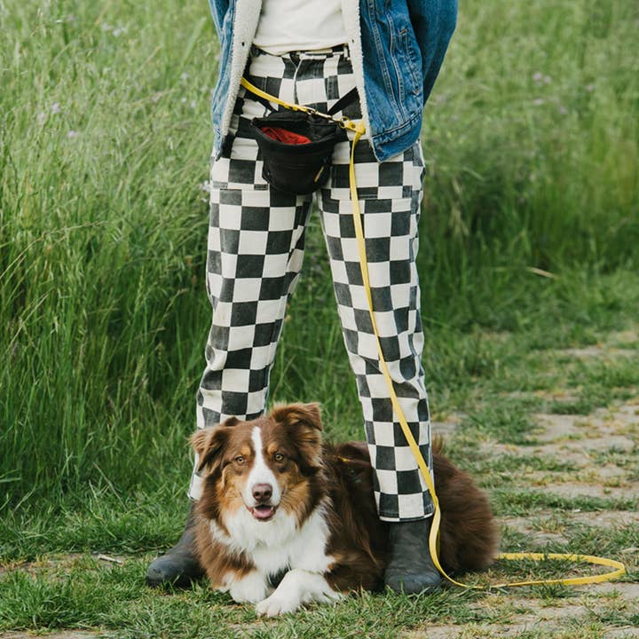 High Tail Hikes - Wholesale Pet Leash - Dog - Simple Brass Hands Free Leash - Medium Dogs (1/2" Width)30