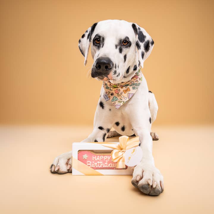 En tête a truffe - Wholesale Pet Biscuit - Dog - Dog Biscuit "Happy Birthday" - Gift Box0