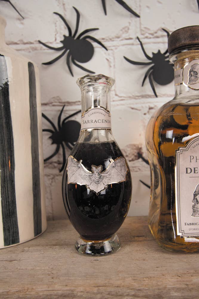 Tim&Puce Factory - Wholesale Sticker - CABINET OF CURIOSITIES STICKERS X 25PCS2