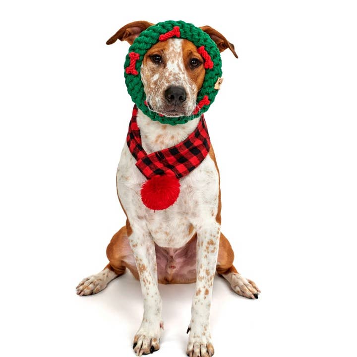 Jax & Bones - Wholesale Pet rope toy – Dog - Green Ring with Red Bones Dog Rope Toy (Small - 4")2