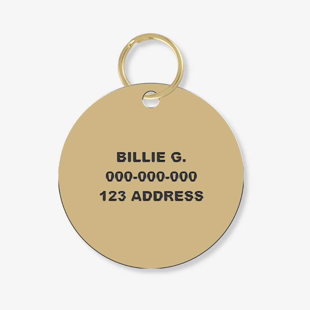 Furei Pets – Etiqueta de coleira - Cão por atacado – Plaquinha 'Good Boy' para Cachorro1