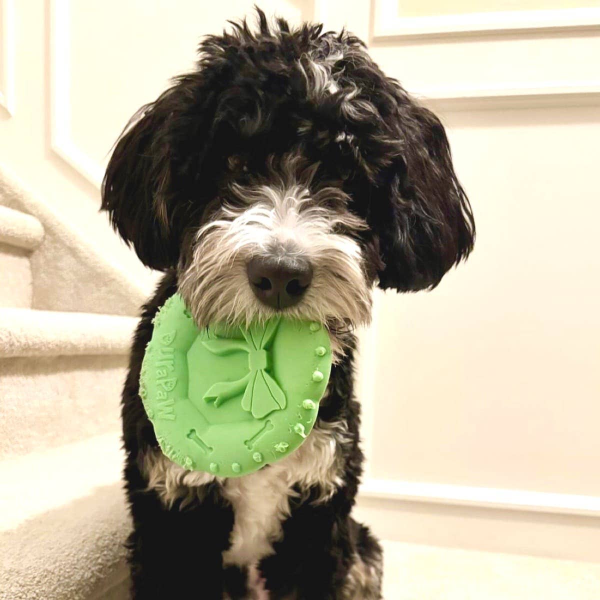 DuraPaw - Wholesale Pet Chew Toy - Dog - DuraPaw Christmas Wreath Nylon Dog Chew Toy3