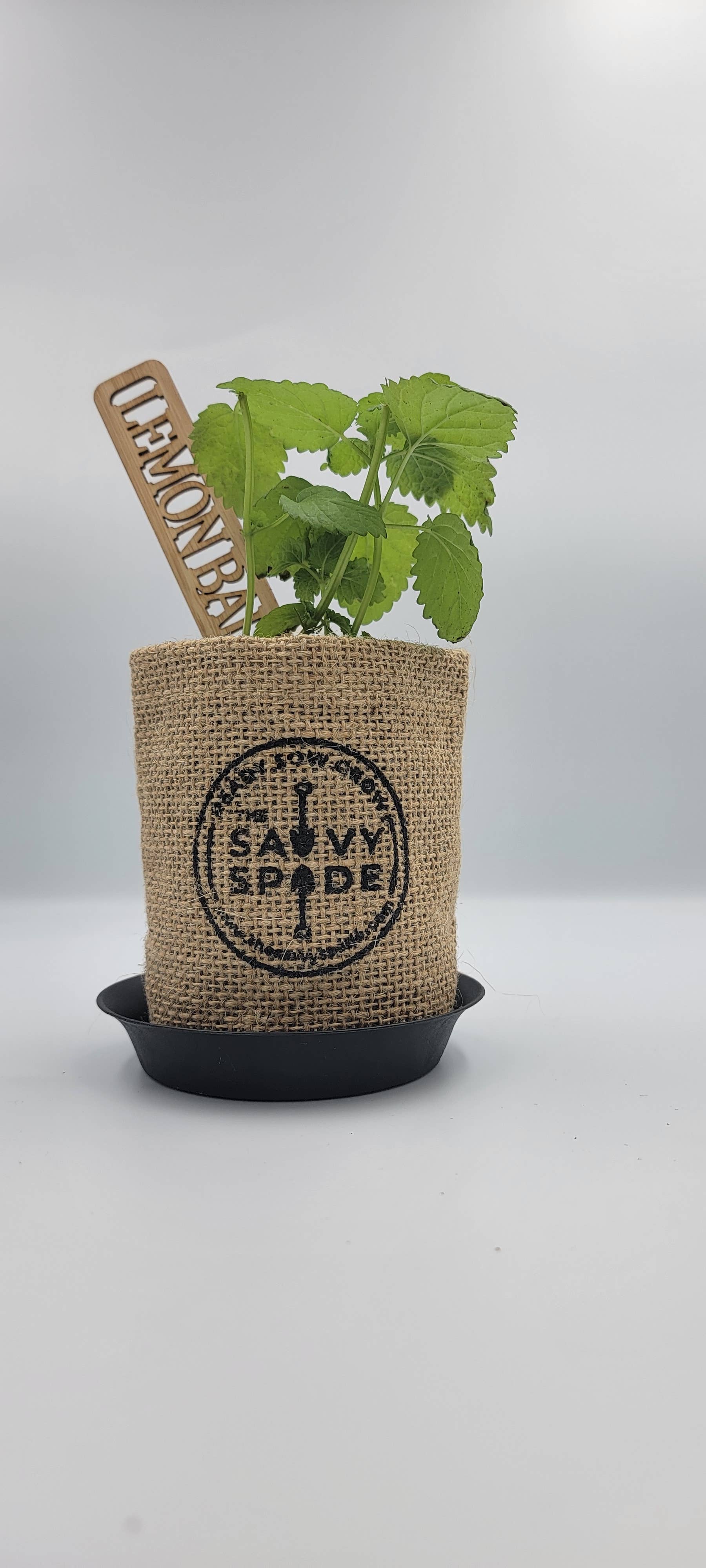 The Savvy Spade - Wholesale Garden/Lawn Stake - Herb Garden Markers - Eco-friendly Bamboo Plant Labels4