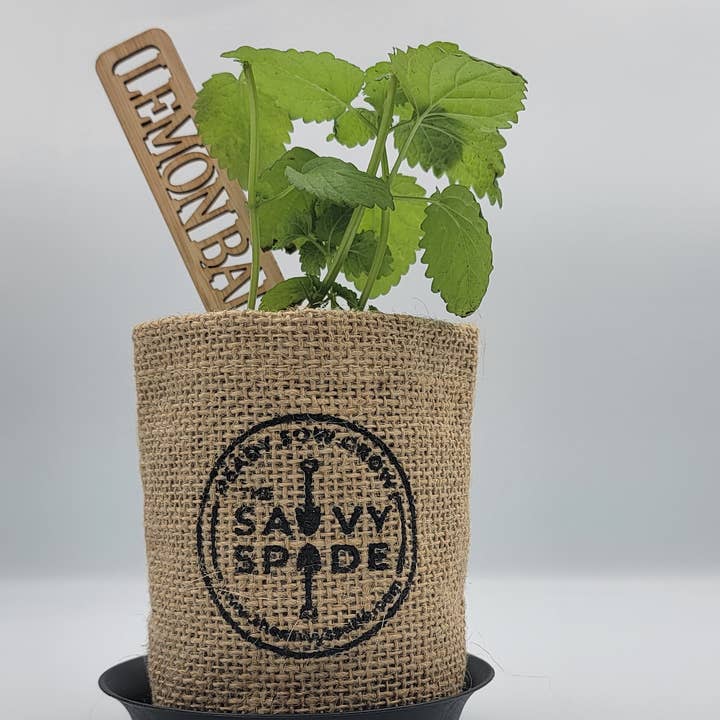 The Savvy Spade - Wholesale Garden/Lawn Stake - Herb Garden Markers - Eco-friendly Bamboo Plant Labels4