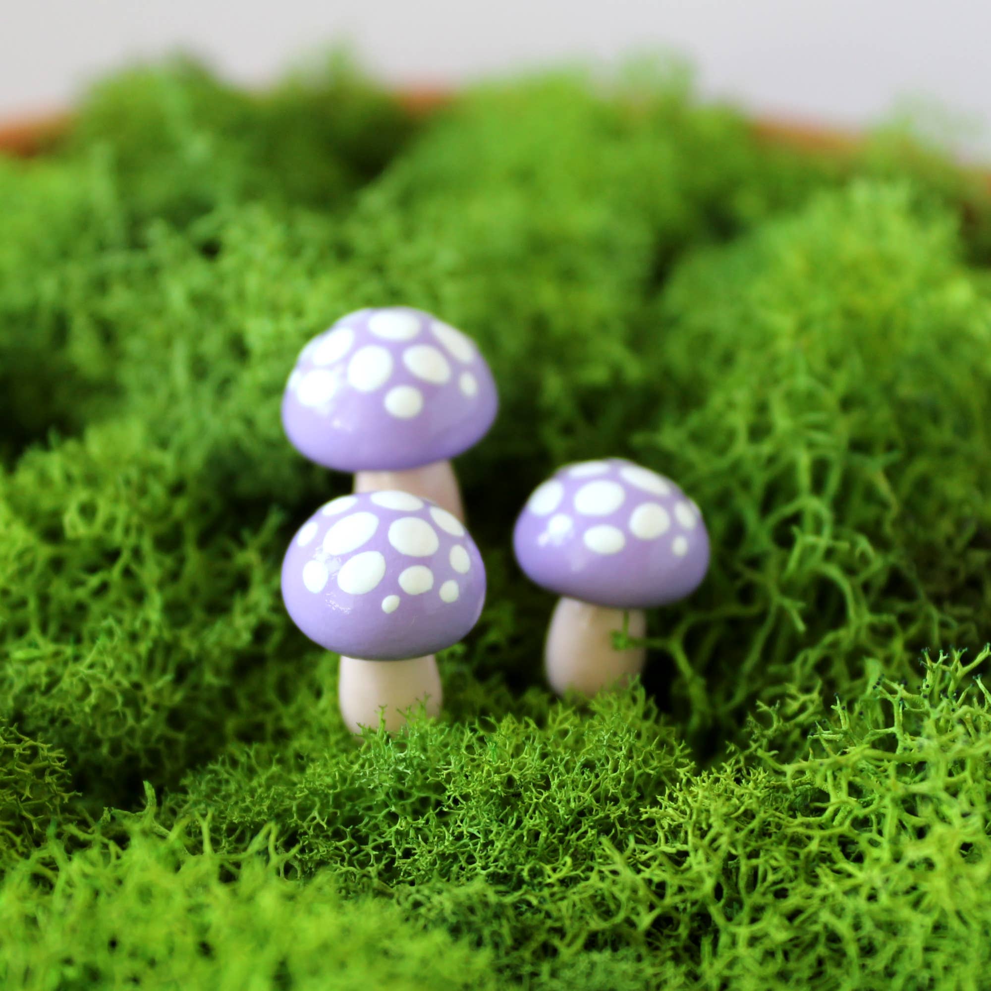 Mariposa Miniatures – wholesale Garden/lawn stake – Mini Fairy Garden Mushroom8