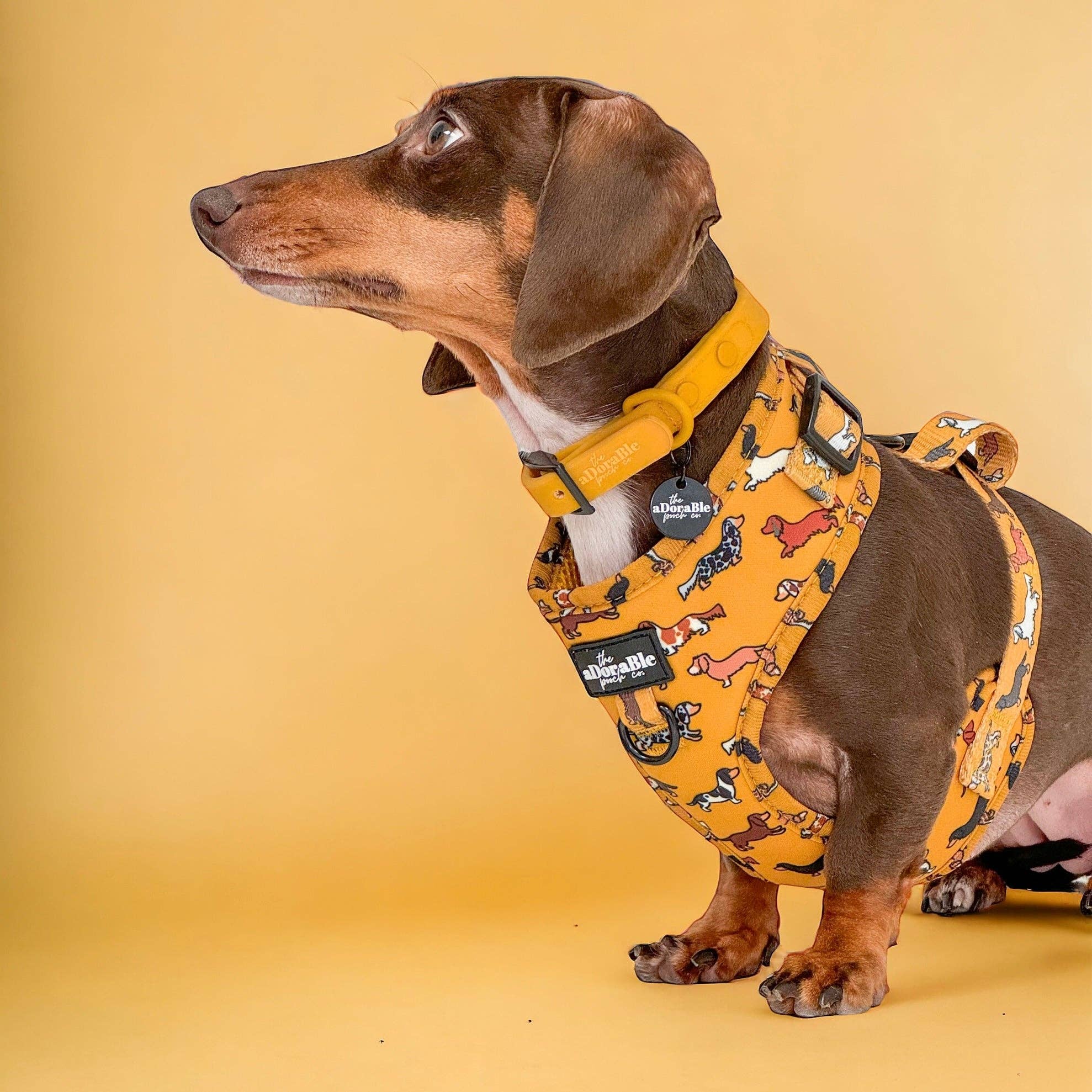 The aDoraBle Pooch Company - Wholesale Pet Harness - Dog - Adjustable Harness - Dashing Dachshunds4