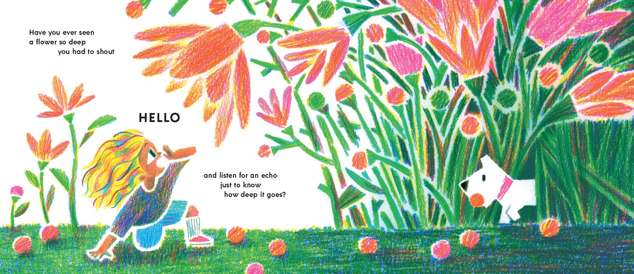 Chronicle Books - Wholesale Preschool Book (3-5) - Have You Ever Seen a Flower?4